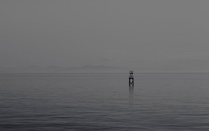 Took this in the morning